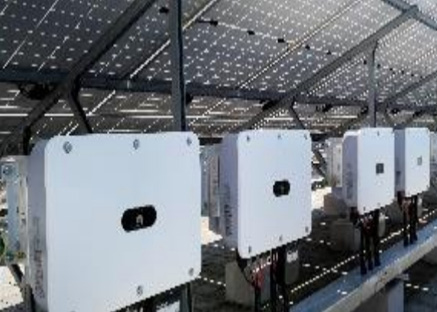 上海鑫国食品厂